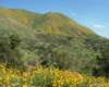 imgp0387_small.jpg
