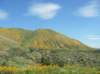 imgp0388_small.jpg