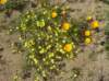 imgp0390_small.jpg