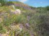 imgp0392_small.jpg
