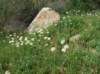 imgp0396_small.jpg