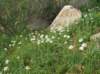 imgp0397_small.jpg