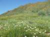 imgp0399_small.jpg