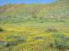imgp0400_small.jpg