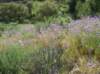 imgp0404_small.jpg