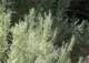 imgp6022_small.jpg