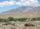 imgp6044_small.jpg