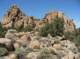 imgp6046_small.jpg