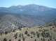 imgp6050_small.jpg