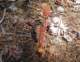 imgp6059_small.jpg