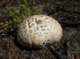 imgp6068_small.jpg