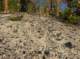 imgp6081_small.jpg