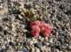 imgp6086_small.jpg