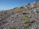 imgp6089_small.jpg