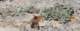 imgp6159_small.jpg