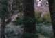 We saw a bear on the Vivain Creek Trail while hiking up Mt. Gorgonio 8/24/2011