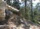 imgp6217_small.jpg