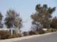 imgp1818_small.jpg