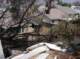imgp1819_small.jpg