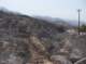 imgp1825_small.jpg