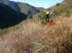 imgp8368_small.jpg