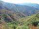 imgp8371_small.jpg