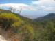imgp8376_small.jpg