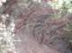 imgp8380_small.jpg