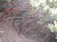 imgp8382_small.jpg