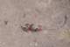 imgp8383_small.jpg