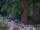 imgp1384_small.jpg