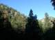 imgp1385_small.jpg