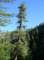 imgp1386_small.jpg