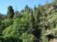 imgp1393_small.jpg