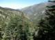 imgp1405_small.jpg