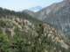 imgp1406_small.jpg