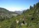 imgp1408_small.jpg
