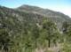 imgp1414_small.jpg