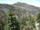 imgp1415_small.jpg