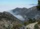 Hiked Icehouse Canyon to the top of Timber Peak, San Gabriel Mountains 6/17/2018 