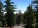 imgp1421_small.jpg