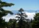 imgp1422_small.jpg