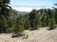imgp1423_small.jpg
