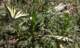 imgp1433_small.jpg