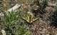 imgp1437_small.jpg