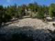 imgp1491_small.jpg