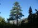 imgp1492_small.jpg
