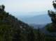 imgp1502_small.jpg