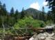 imgp1507_small.jpg