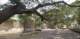 p03goprv0026_small.jpg